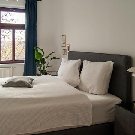 Grosse Familienfreundliche Wohnung In เดรสเดน ภายนอก รูปภาพ