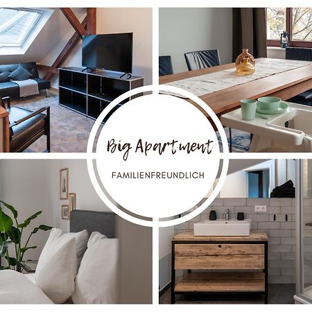Grosse Familienfreundliche Wohnung In เดรสเดน ภายนอก รูปภาพ