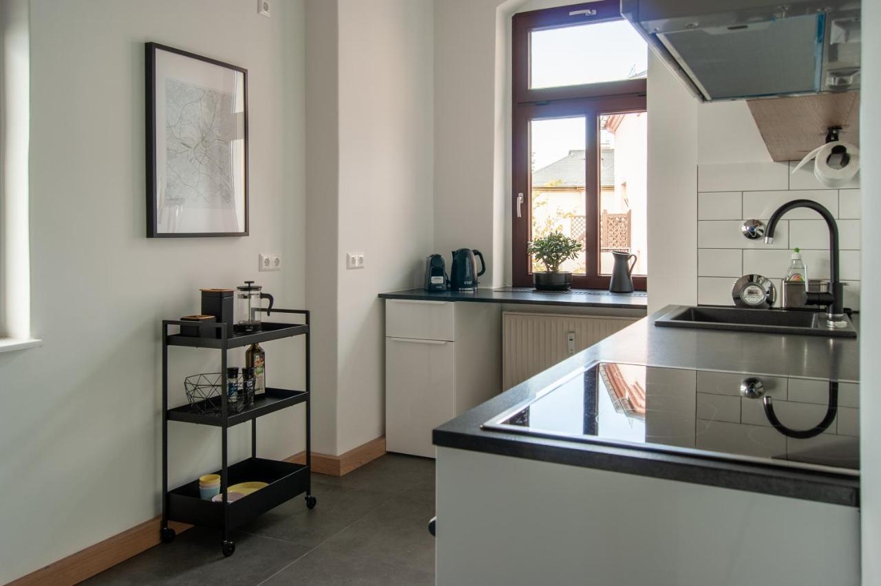 Grosse Familienfreundliche Wohnung In เดรสเดน ภายนอก รูปภาพ